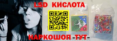 шишки Пенза