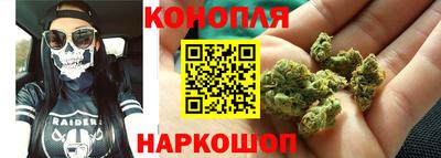 шишки Пенза