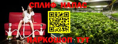 шишки Пенза