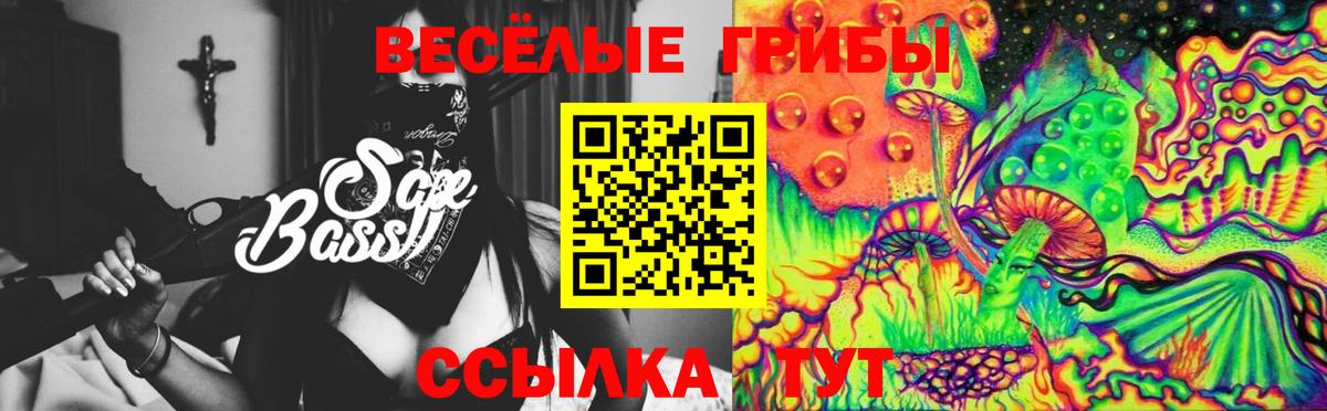 Галлюциногенные грибы Psilocybine cubensis Серпухов
